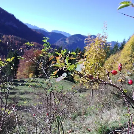 Apartament Bergzeit