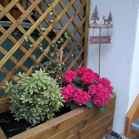 Apartment Bergzeit *
