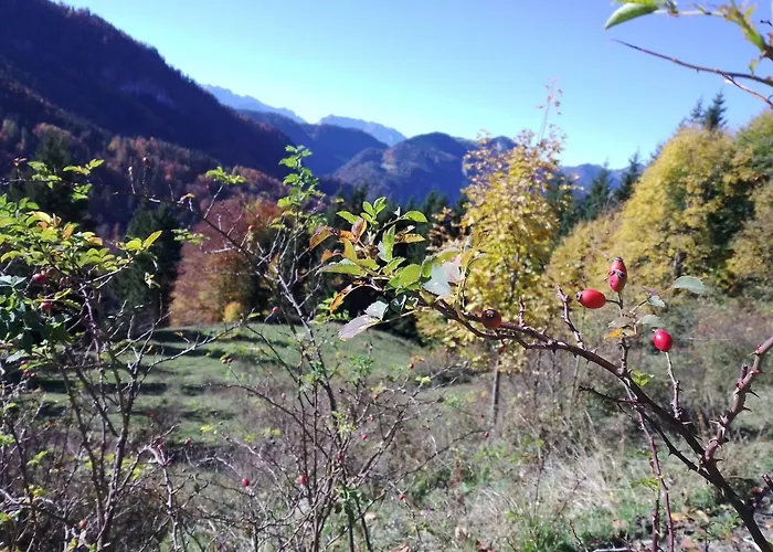 Apartamento Bergzeit