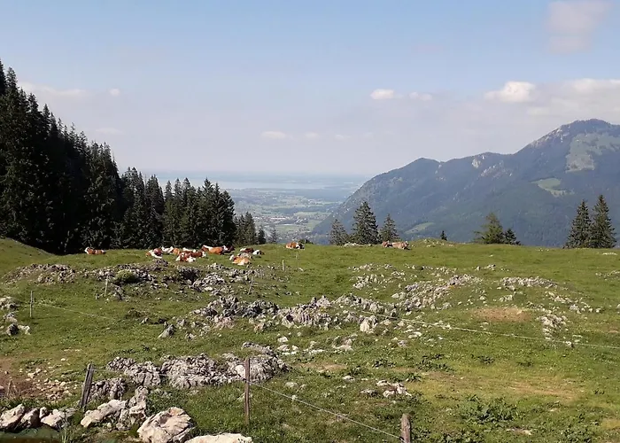 Apartamento Bergzeit *